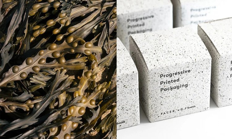 Seaweed Paper
