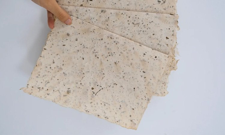 Tea Waste Paper